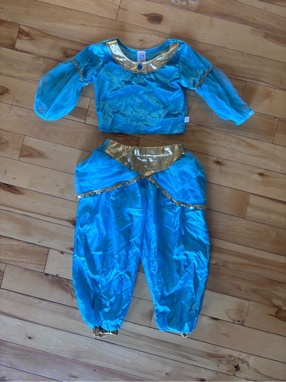 Blue Jasmine Dress Up Costume